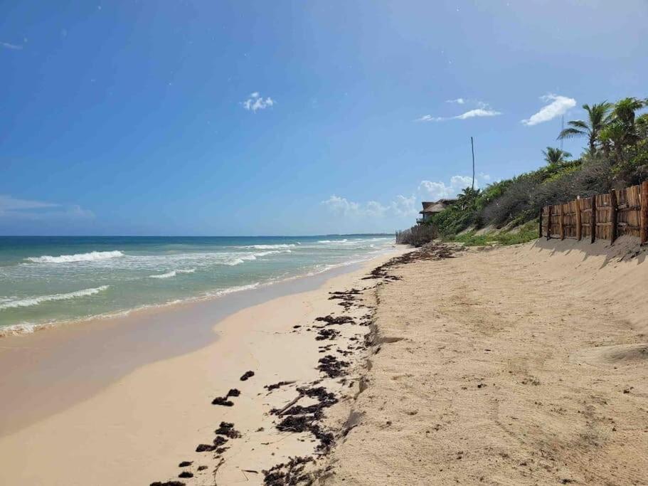 Luxury 5-Br Beachfront Home In Tulum Casa Sofia Gato Bagian luar foto