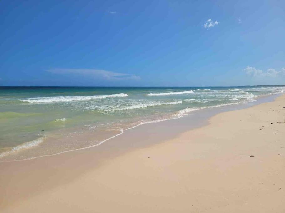 Luxury 5-Br Beachfront Home In Tulum Casa Sofia Gato Bagian luar foto