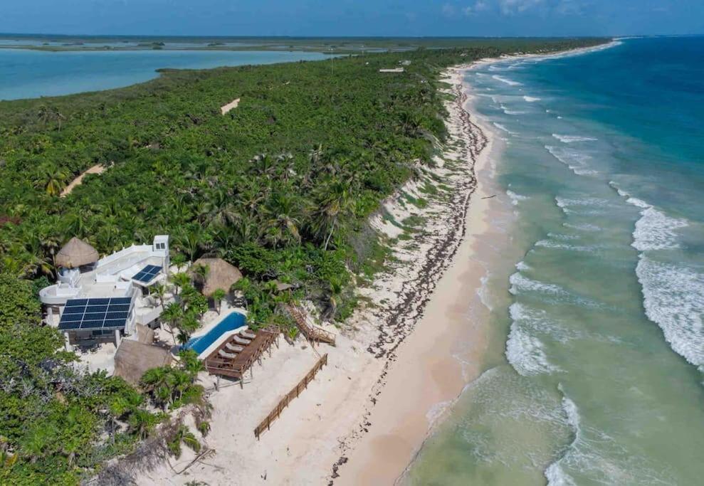 Luxury 5-Br Beachfront Home In Tulum Casa Sofia Gato Bagian luar foto