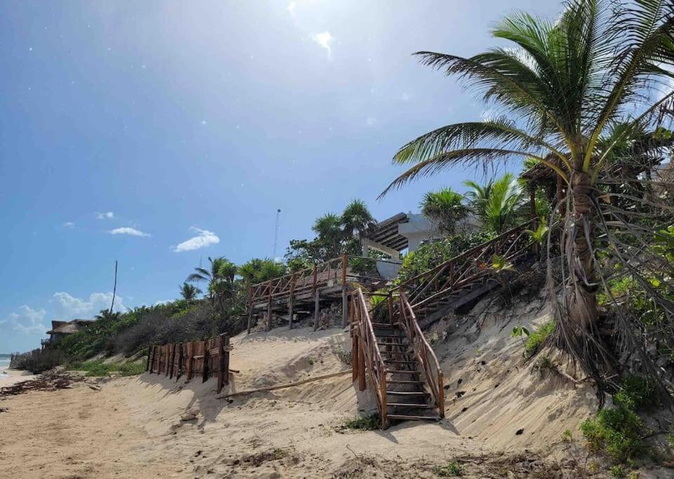 Luxury 5-Br Beachfront Home In Tulum Casa Sofia Gato Bagian luar foto