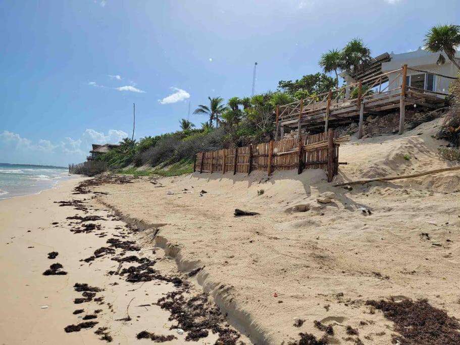 Luxury 5-Br Beachfront Home In Tulum Casa Sofia Gato Bagian luar foto